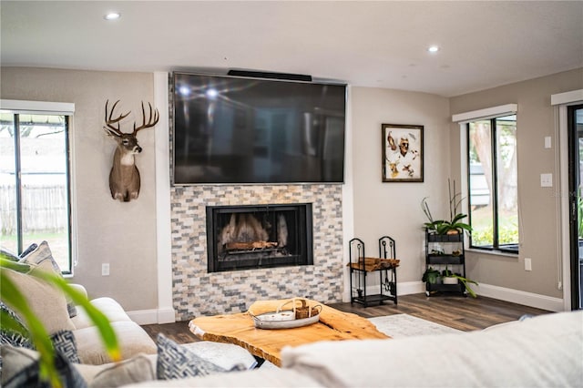 living room featuring a fireplace and dark hardwood / wood-style floors