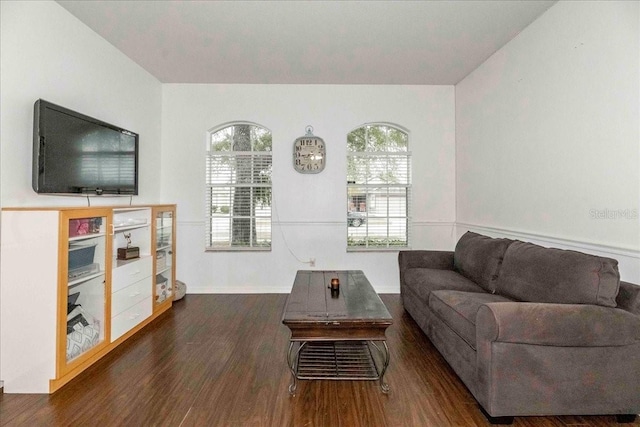 living room with plenty of natural light and dark hardwood / wood-style floors