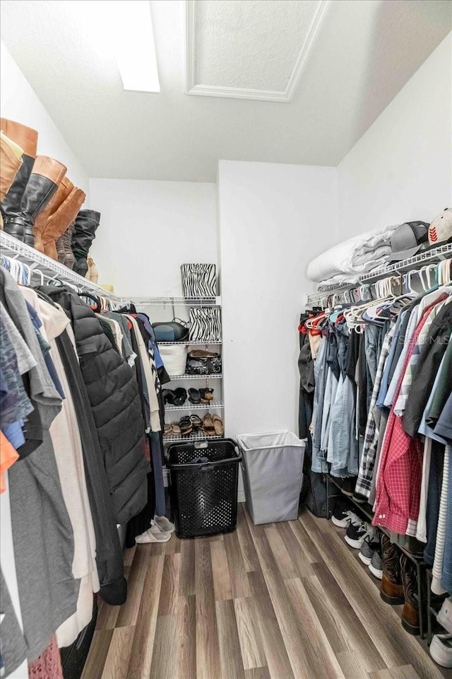 walk in closet with wood-type flooring