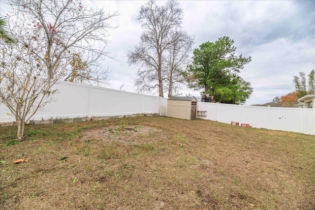 view of yard with a storage unit