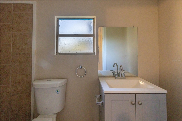 bathroom with toilet and vanity