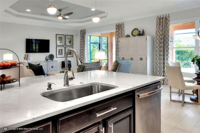 kitchen featuring stainless steel dishwasher, sink, a tray ceiling, and a healthy amount of sunlight