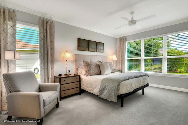 carpeted bedroom featuring ceiling fan, multiple windows, and ornamental molding