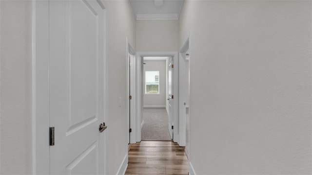 hallway with dark hardwood / wood-style flooring