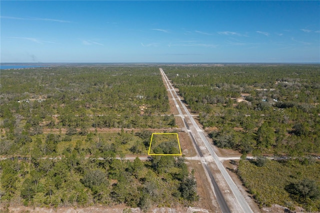 Listing photo 3 for Oleander Dr, Indian Lake Estates FL 33855