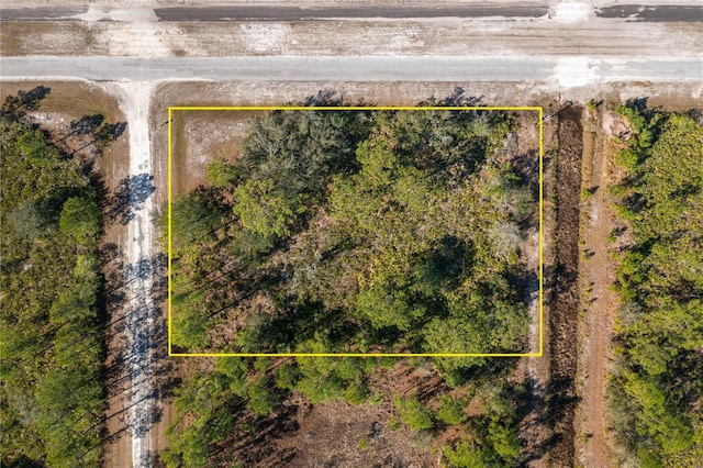 Oleander Dr, Indian Lake Estates FL, 33855 land for sale