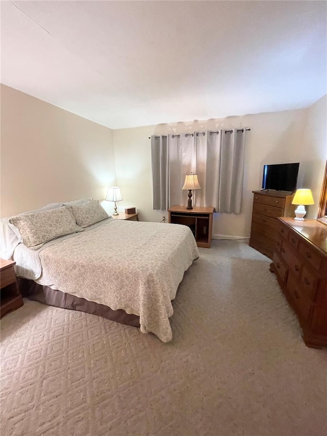 bedroom with carpet flooring