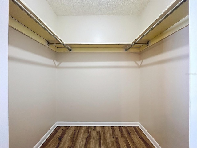 spacious closet with hardwood / wood-style floors