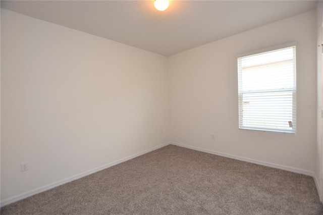 spare room with carpet