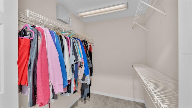 spacious closet featuring light colored carpet