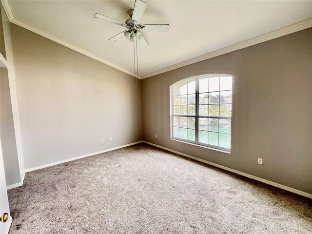 spare room featuring crown molding, carpet floors, and ceiling fan