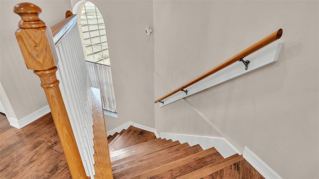 staircase with wood-type flooring