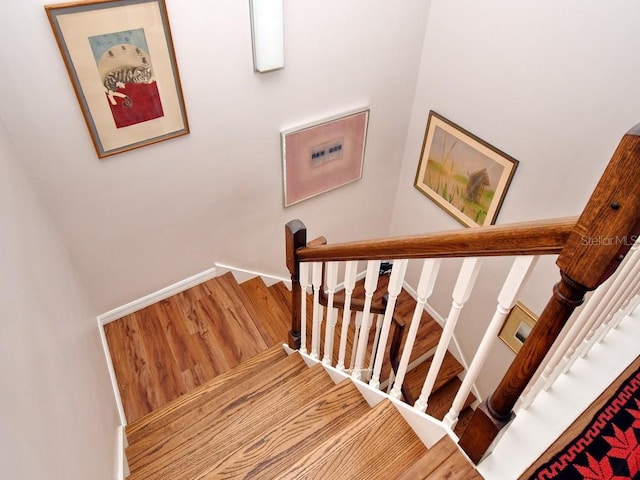 stairs with hardwood / wood-style floors