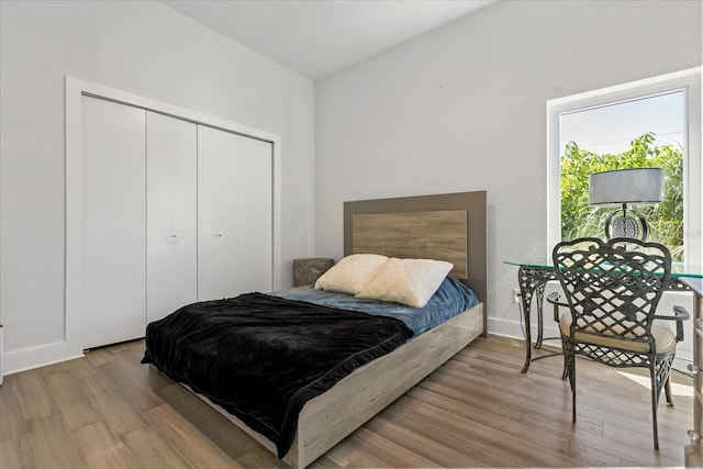 bedroom with a closet and wood-type flooring