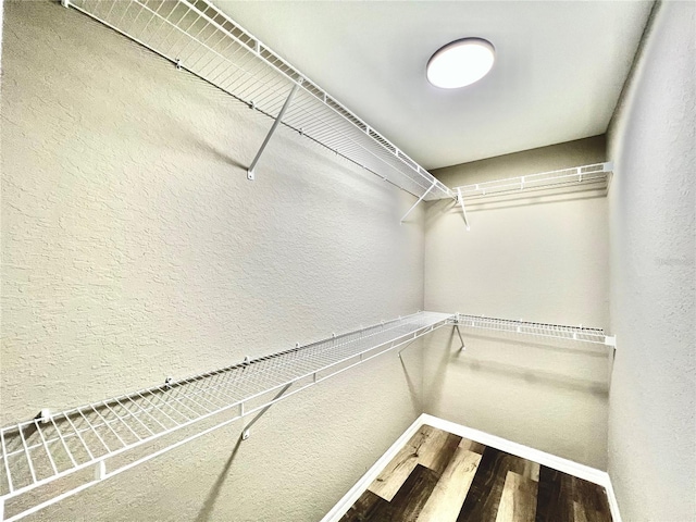 spacious closet featuring wood-type flooring