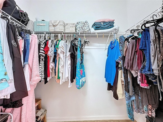 spacious closet with carpet