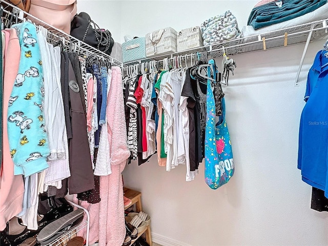 view of spacious closet