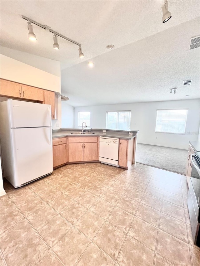 kitchen with white appliances, a healthy amount of sunlight, sink, and a textured ceiling