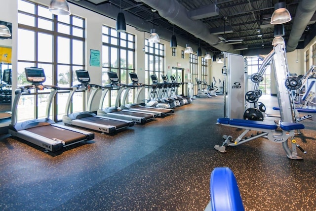 gym featuring a wealth of natural light