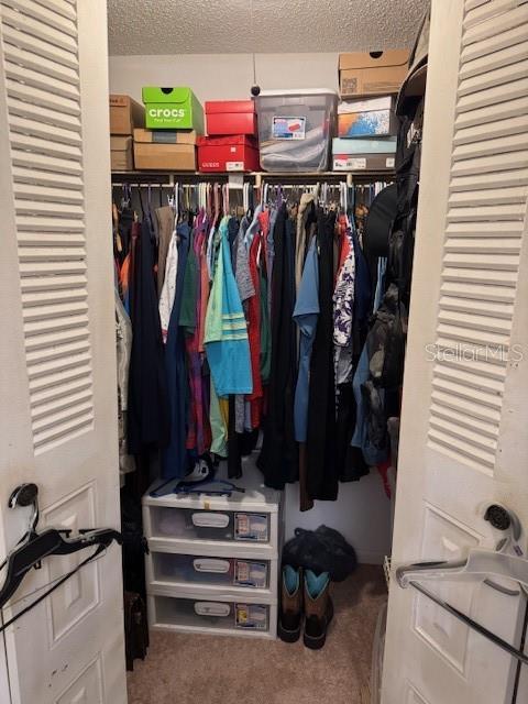 walk in closet with carpet flooring