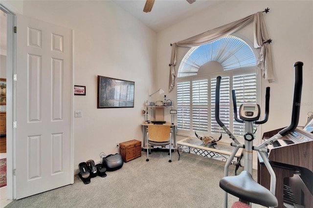 exercise area featuring ceiling fan and carpet