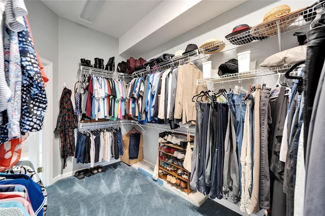 spacious closet featuring carpet