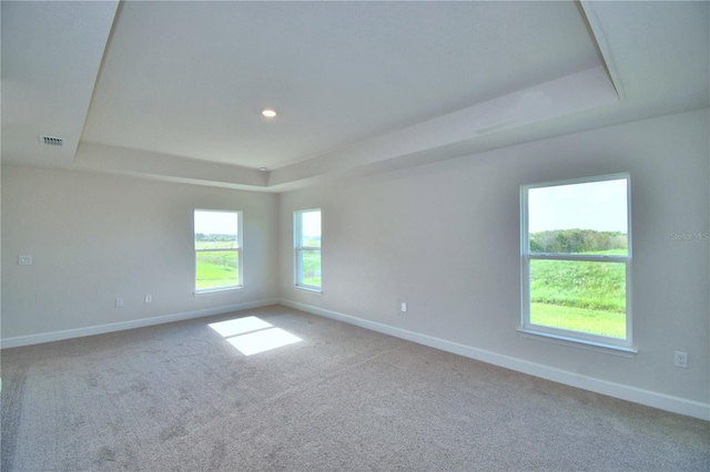 spare room with carpet and a raised ceiling