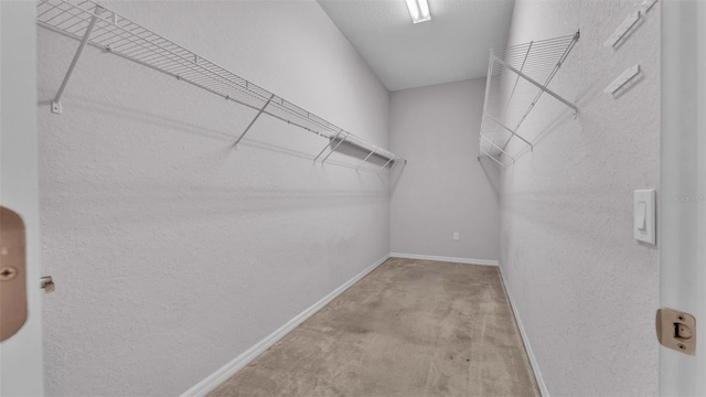 spacious closet with light carpet