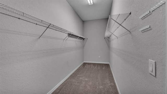 212 Kissengen Park Dr, Bartow, FL 33830 - spacious closet with carpet flooring