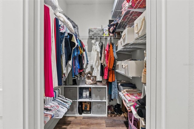 spacious closet featuring dark hardwood / wood-style floors