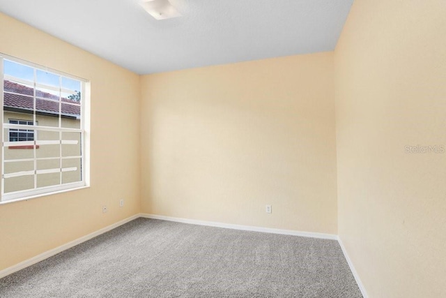 spare room featuring carpet flooring