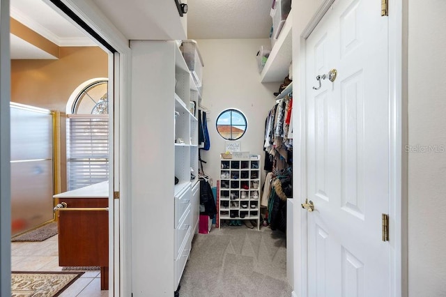 spacious closet featuring light colored carpet