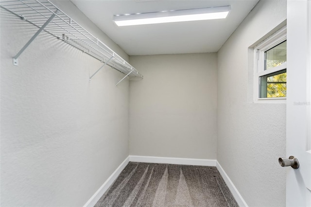 spacious closet with carpet floors