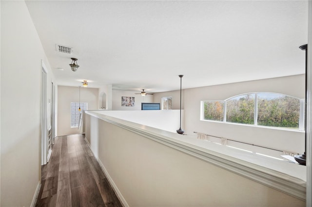 hall featuring dark hardwood / wood-style floors