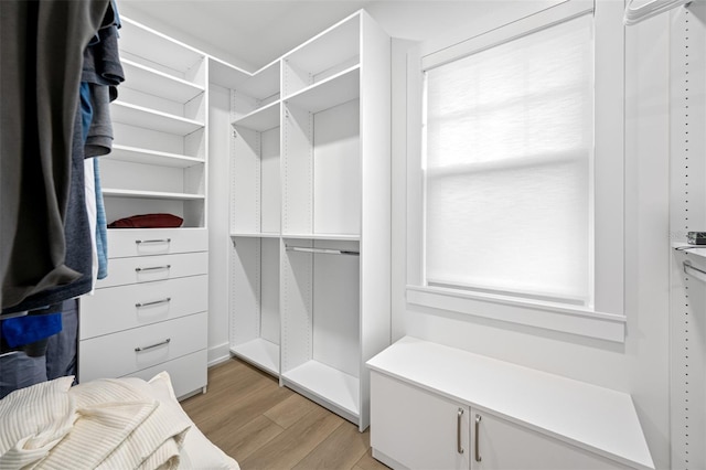 spacious closet with light wood-type flooring