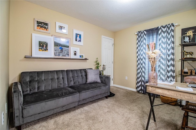 office with carpet and a textured ceiling