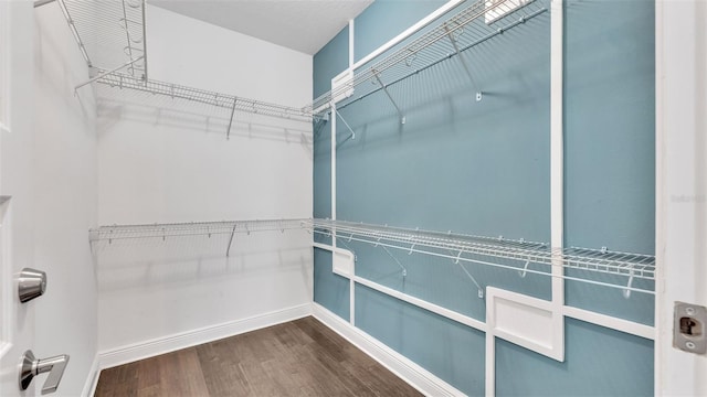 spacious closet featuring hardwood / wood-style floors