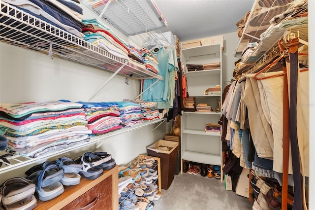 spacious closet featuring carpet flooring