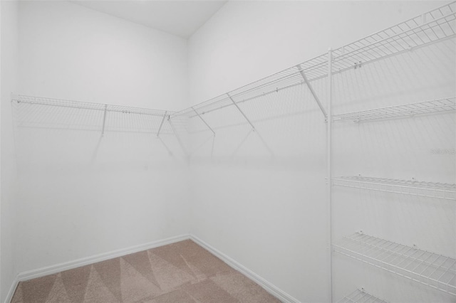 walk in closet with carpet flooring