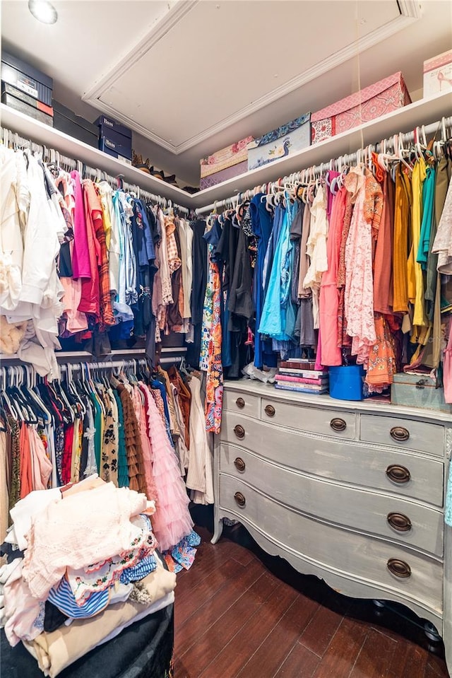 spacious closet with dark hardwood / wood-style floors