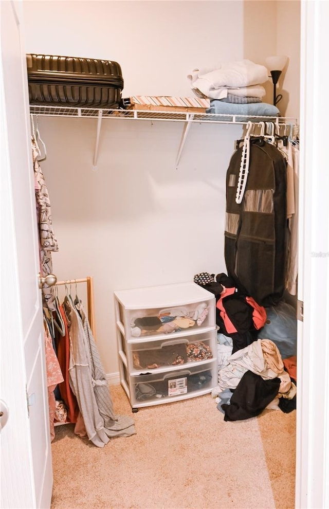 walk in closet featuring carpet floors