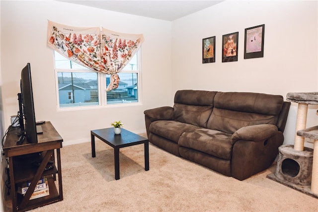 living room featuring carpet flooring