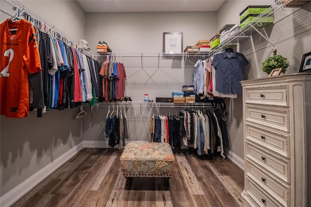 walk in closet with dark hardwood / wood-style floors