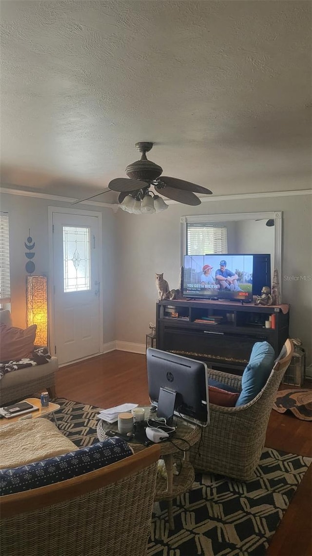 living room with ceiling fan, wood-type flooring, and a textured ceiling