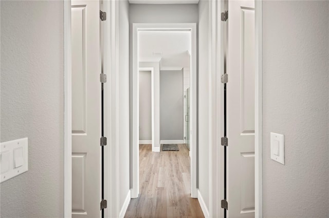 corridor featuring light hardwood / wood-style flooring and ornamental molding