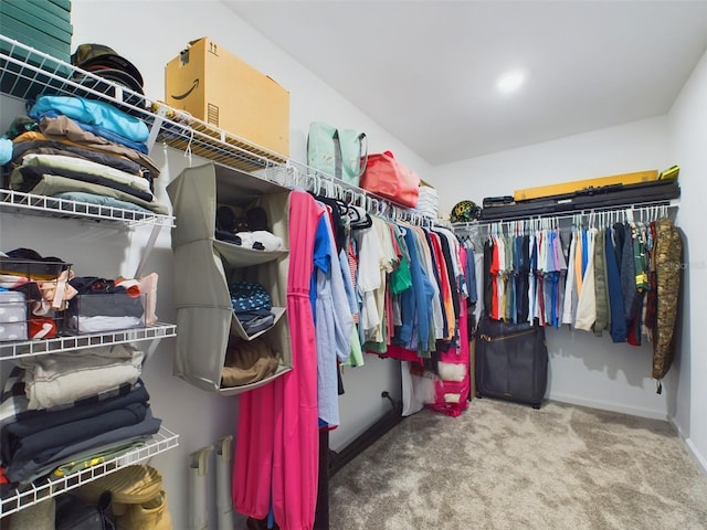 spacious closet with carpet