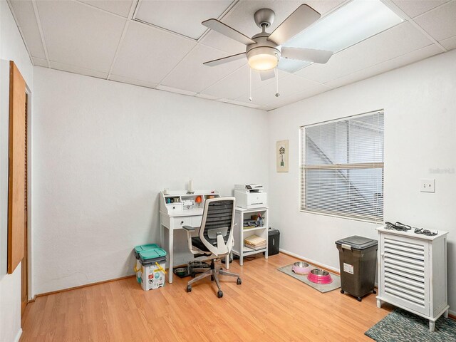 250 Rosery Rd NW Unit 260, Largo, FL 33770 - photo 10