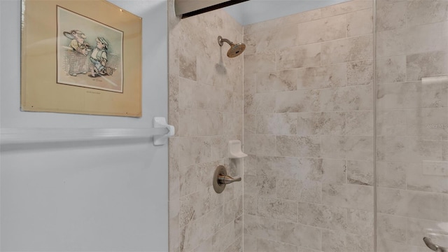 room details with tiled shower