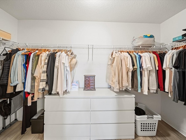 spacious closet with light wood-type flooring