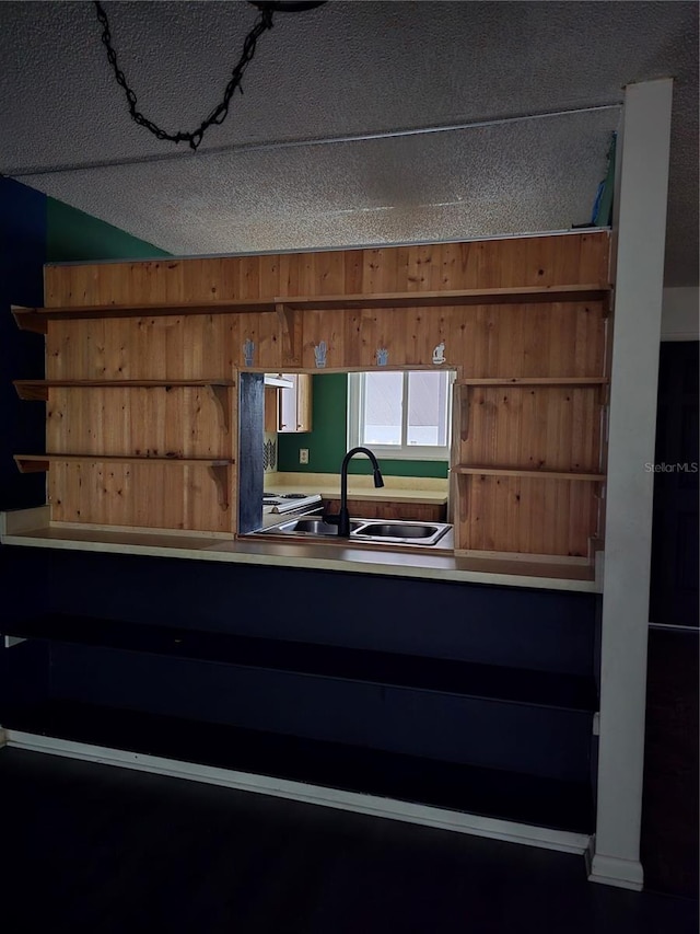 kitchen featuring wooden walls and sink